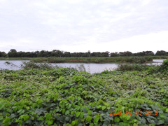 DSCN5417.JPG