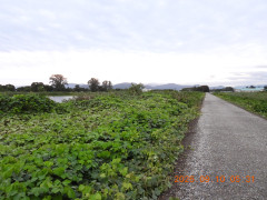 DSCN5418.JPG