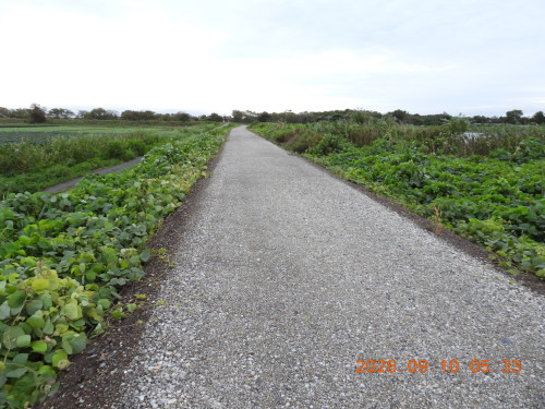 DSCN5419.JPG