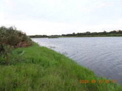 DSCN5420.JPG