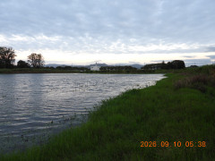 DSCN5422.JPG