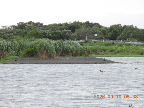 DSCN5423.JPG