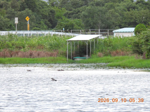 DSCN5425.JPG