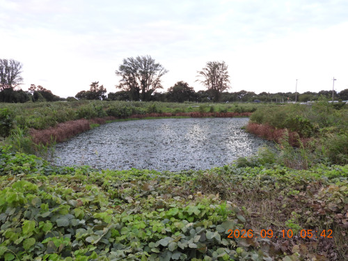 DSCN5426.JPG
