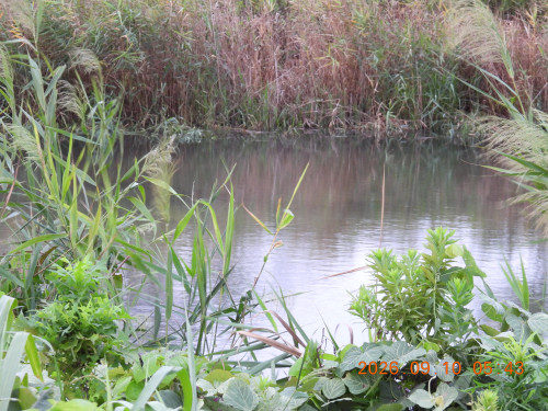 DSCN5428.JPG