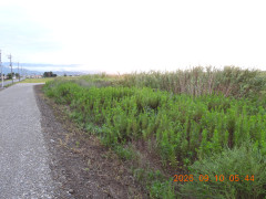 DSCN5429.JPG