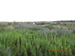 DSCN5430.JPG