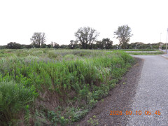 DSCN5431.JPG