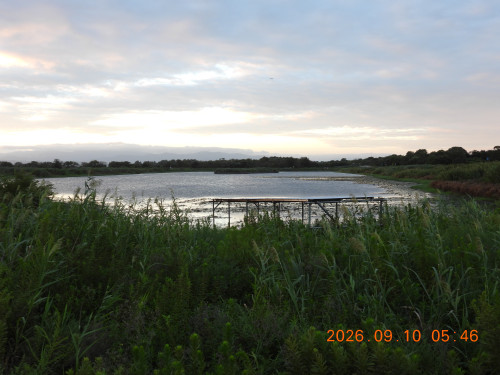 DSCN5432.JPG