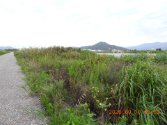 DSCN5433.JPG