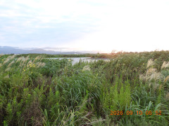DSCN5434.JPG