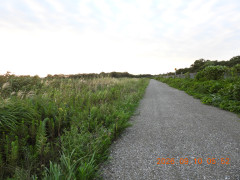 DSCN5435.JPG