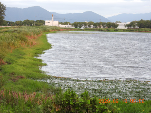 DSCN5437.JPG