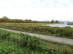 DSCN5440.JPG
