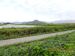 DSCN5441.JPG