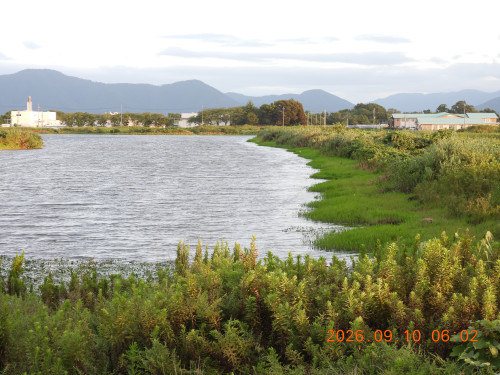 DSCN5442.JPG