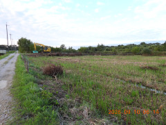 DSCN5449.JPG