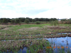 DSCN5450.JPG