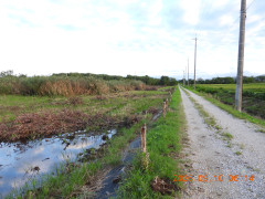 DSCN5451.JPG
