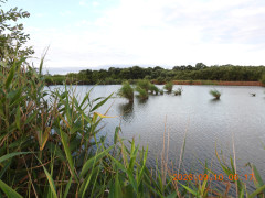 DSCN5454.JPG