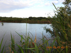 DSCN5455.JPG