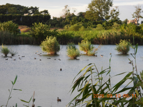 DSCN5443.JPG