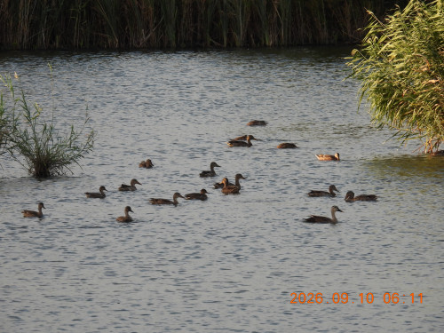 DSCN5444.JPG