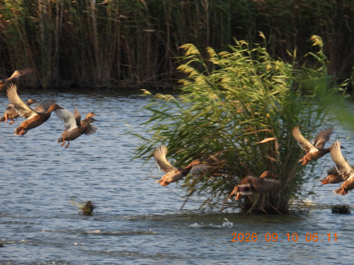 DSCN5445.JPG