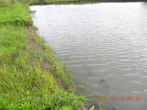 DSCN5457.JPG