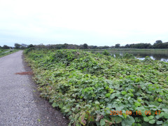 DSCN5466.JPG