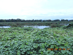 DSCN5467.JPG