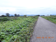 DSCN5468.JPG