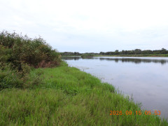 DSCN5471.JPG