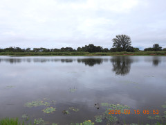 DSCN5472.JPG