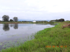 DSCN5473.JPG