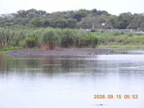 DSCN5474.JPG