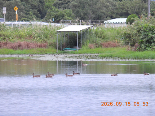 DSCN5475.JPG