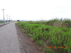DSCN5477.JPG