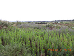 DSCN5478.JPG