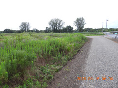 DSCN5479.JPG