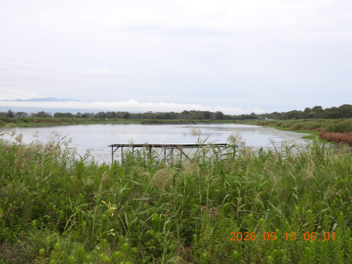 DSCN5480.JPG