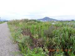 DSCN5483.JPG