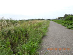 DSCN5485.JPG