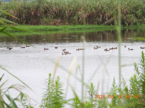 DSCN5486.JPG