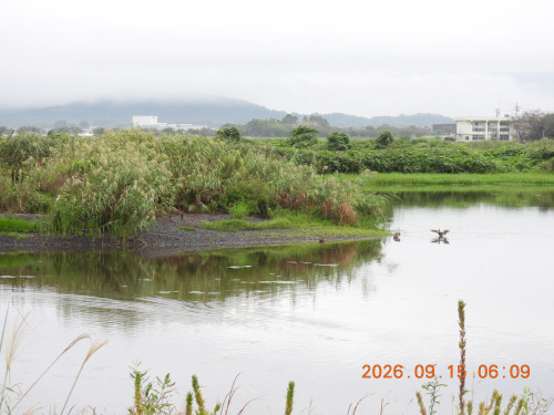 DSCN5487.JPG