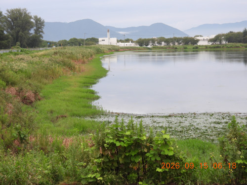 DSCN5488.JPG