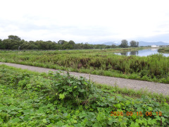 DSCN5489.JPG