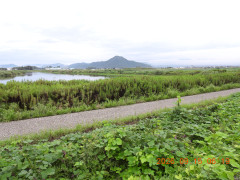 DSCN5490.JPG