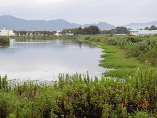 DSCN5492.JPG