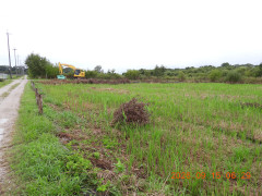 DSCN5495.JPG